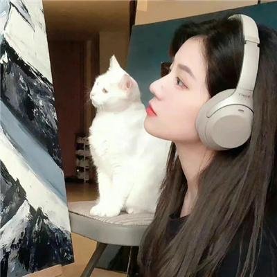 我的街区第二季